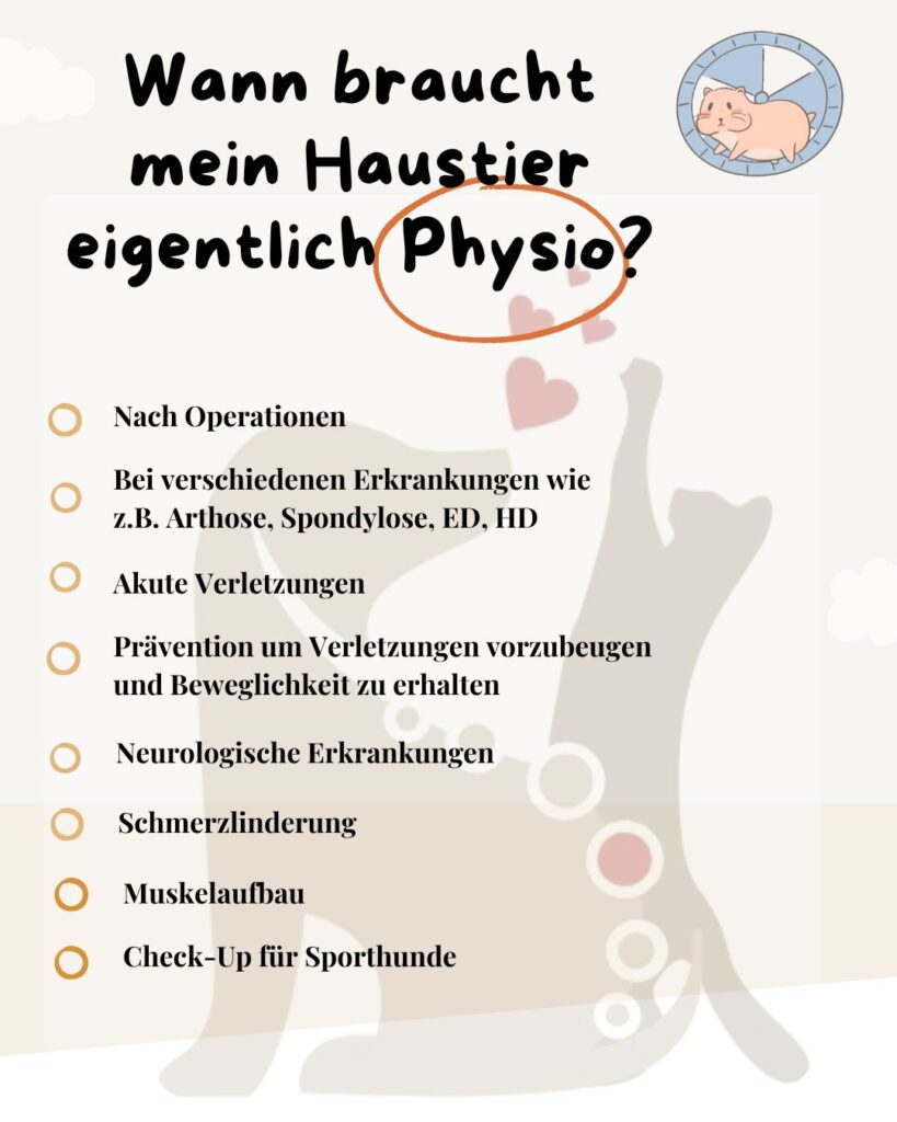 Wann braucht mein Hund eigentlich Physio?