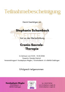 Zertifikat für die Cranio-Sacrale-Therapie